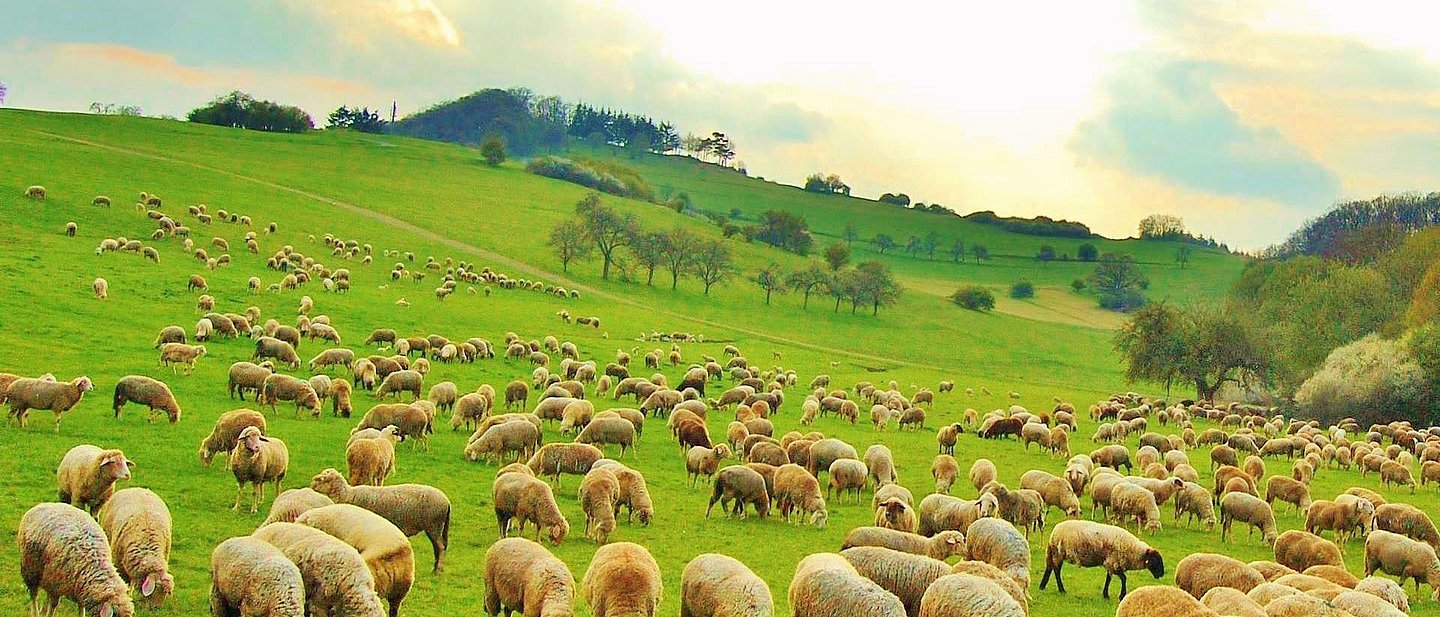 Willkommen an der Dill