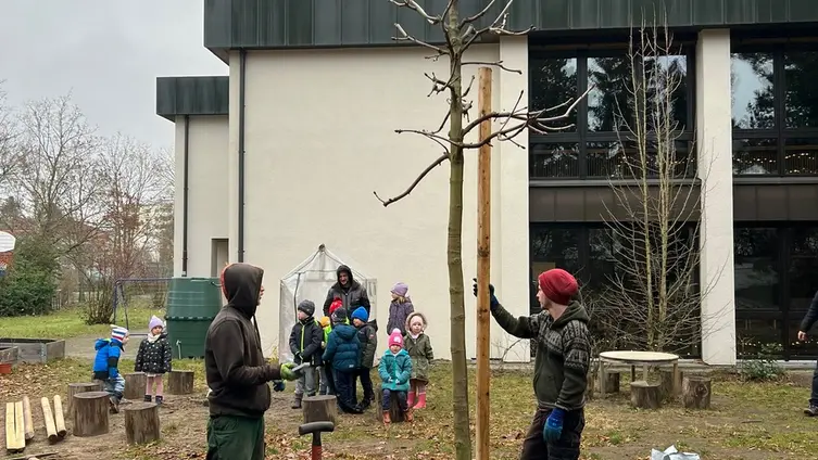 Pflanzaktion Kastanie