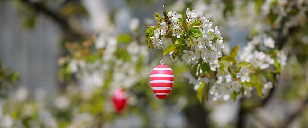 An einem blühenden Baum vor einem Haus hängen bunte Ostereier.