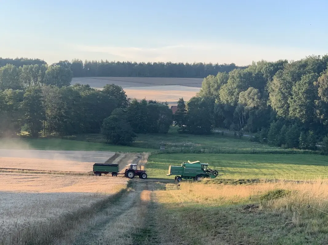 Ernte auf den Feldern