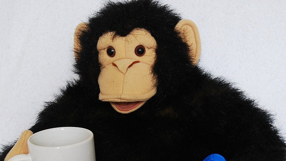 Handpuppe Affe Masithi ist bei jedem Frühstück mit Kleinkindern und ihren Begleitpersonen dabei.