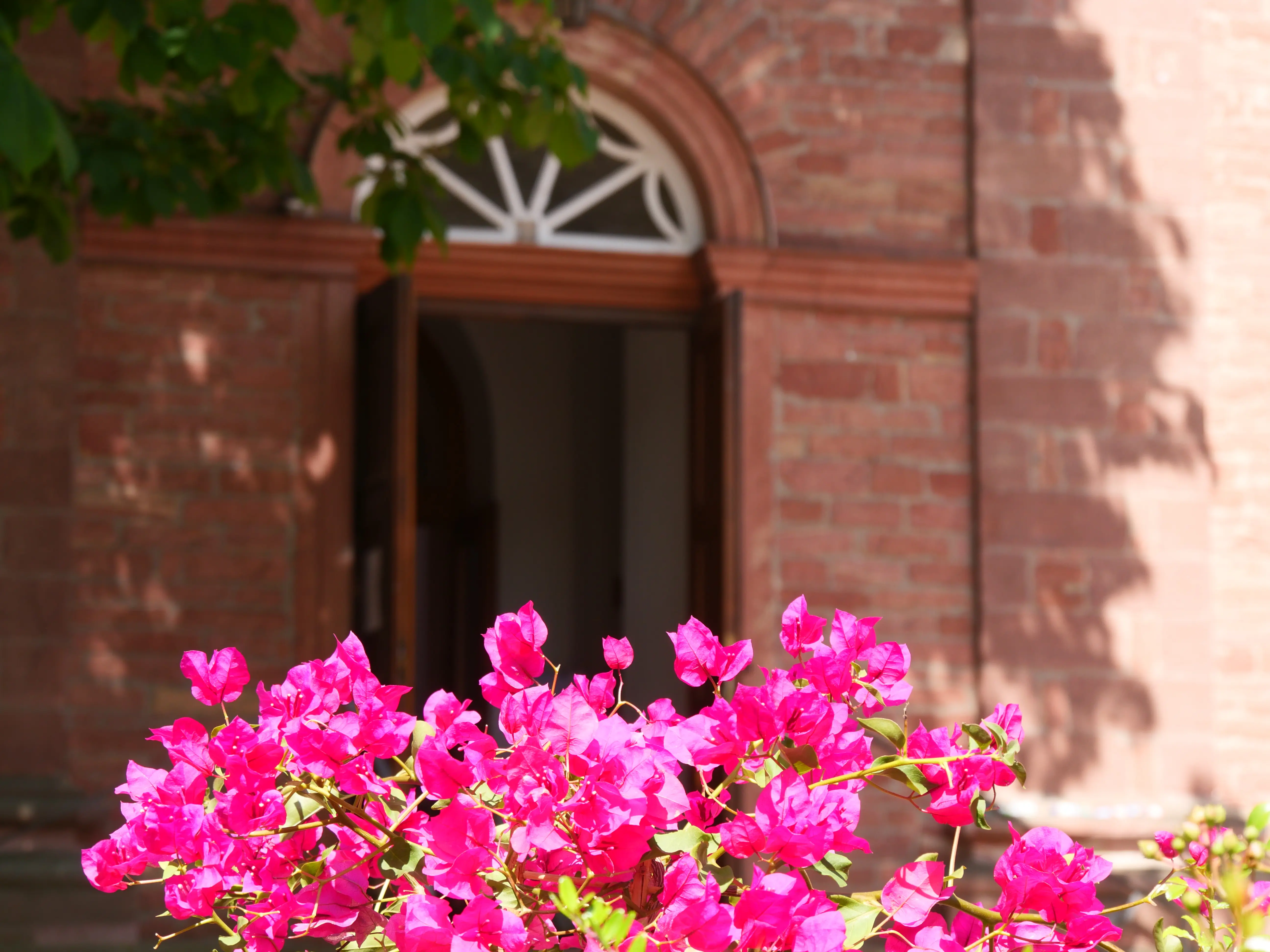 Eingang zur Ev. Kirche mit pinkfarbenen Blumen davor