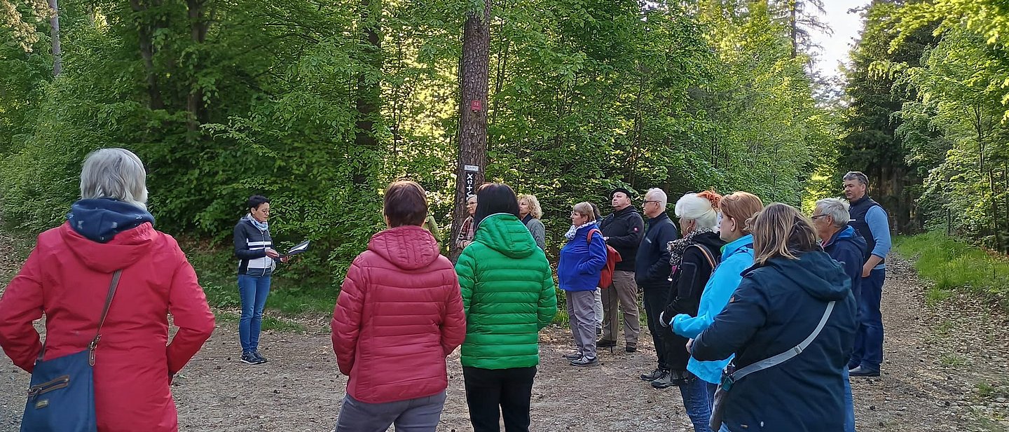 Pilgergruppe unterwegs