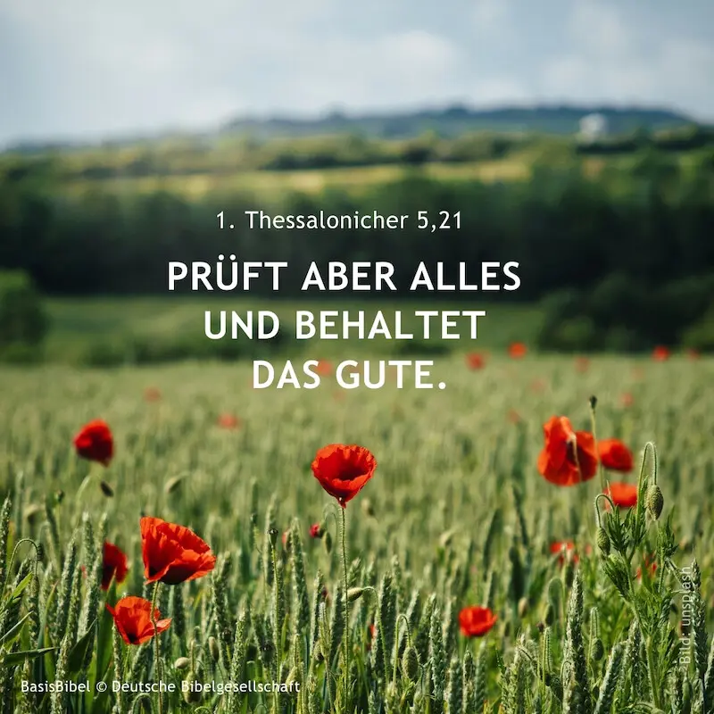 Getridefeld mit Mohnblumen mit Bibelzitat