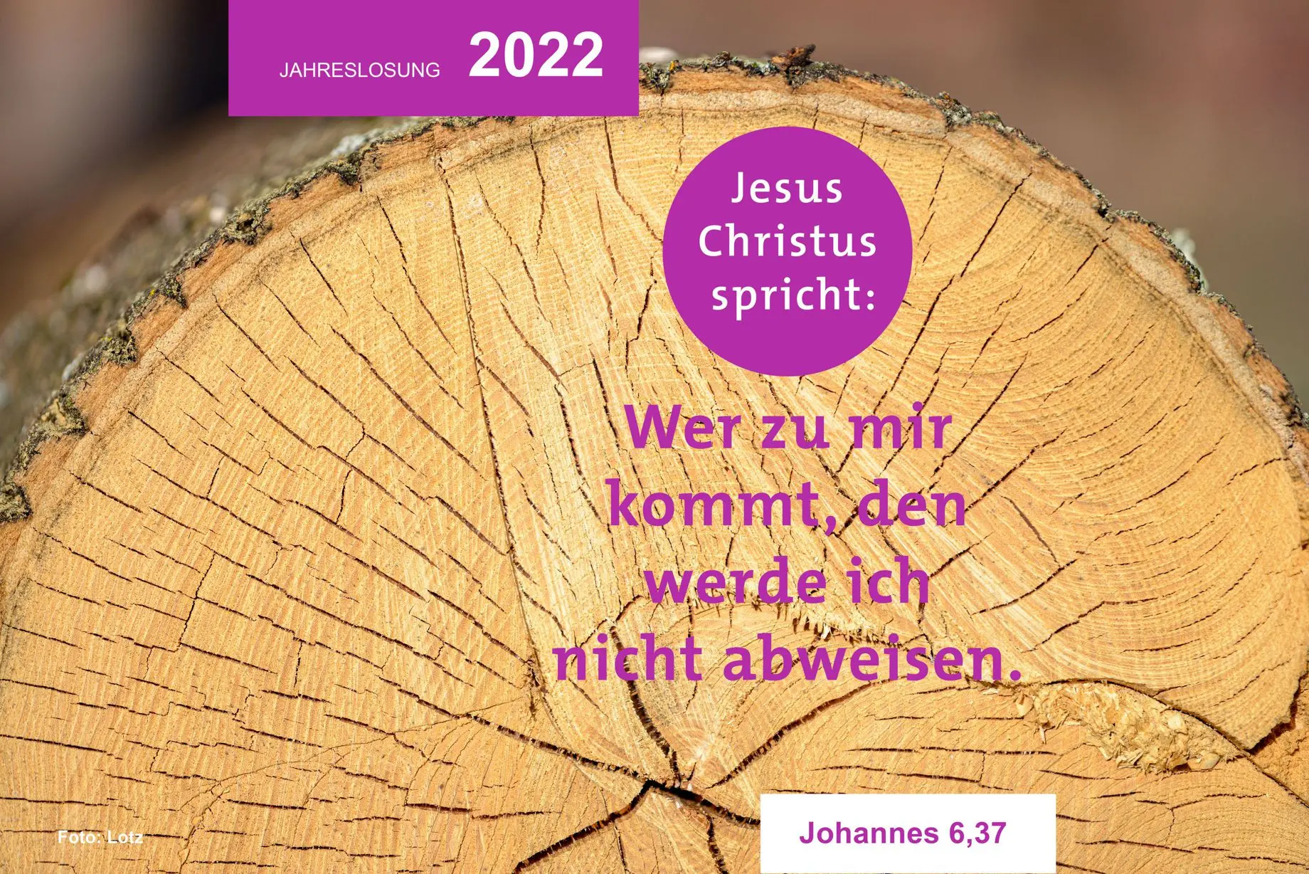 Jahreslosung 2022