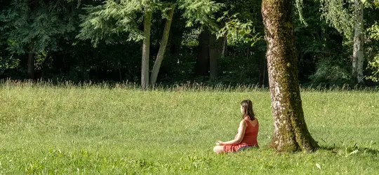 Eine Frau sitzt meditierend auf einer Wiese unter einem großen Baum. Die ruhige Parklandschaft mit Sonnenlicht und viel Grün vermittelt Entspannung, Stille und Besinnung.