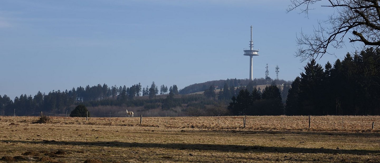 Blick auf den Fernsehturm auf dem Hoherodskopf