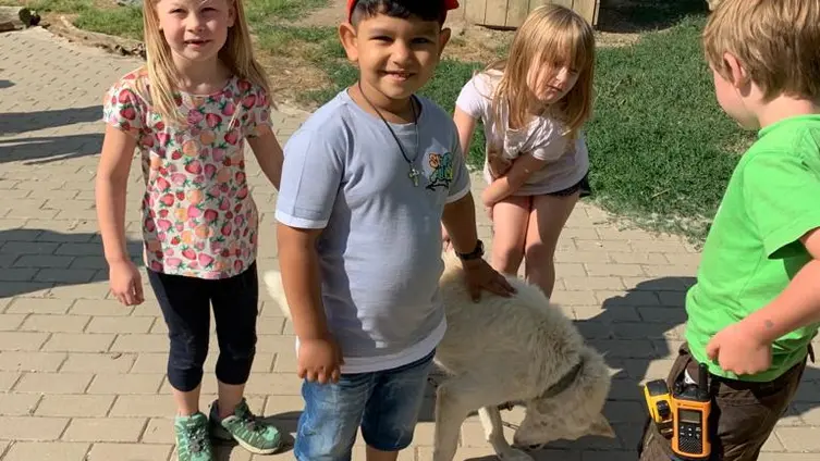 Bilder vom Ausflug der Maxikinder in den Tierpark Bell und der anschließend Abschlussfeier in der KiTa!