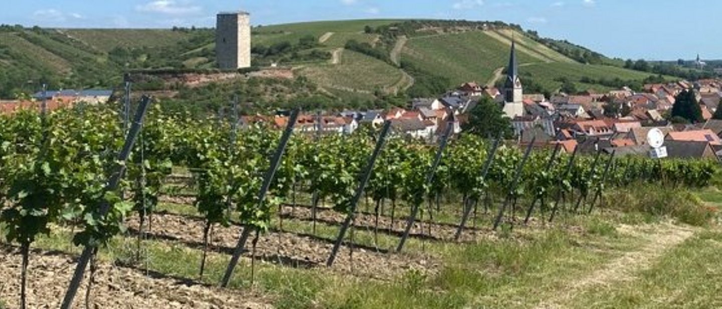 Schwabsburg Kirchen Landschaft