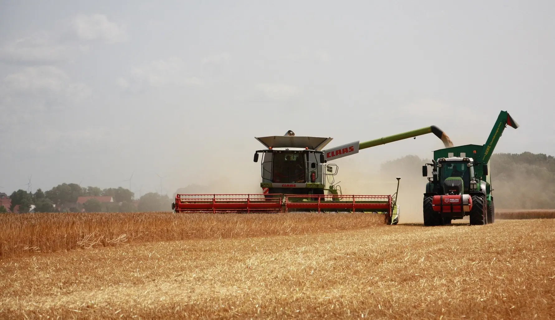 Ein Mähdrescher erntet eine Getreidefeld ab, ein Traktor mit Anhänger daneben wird mit dem Getreide voll geladen